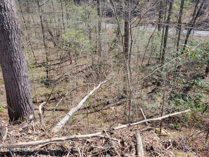 25 Alpine Dr Lot 25, Sevierville, TN 37876