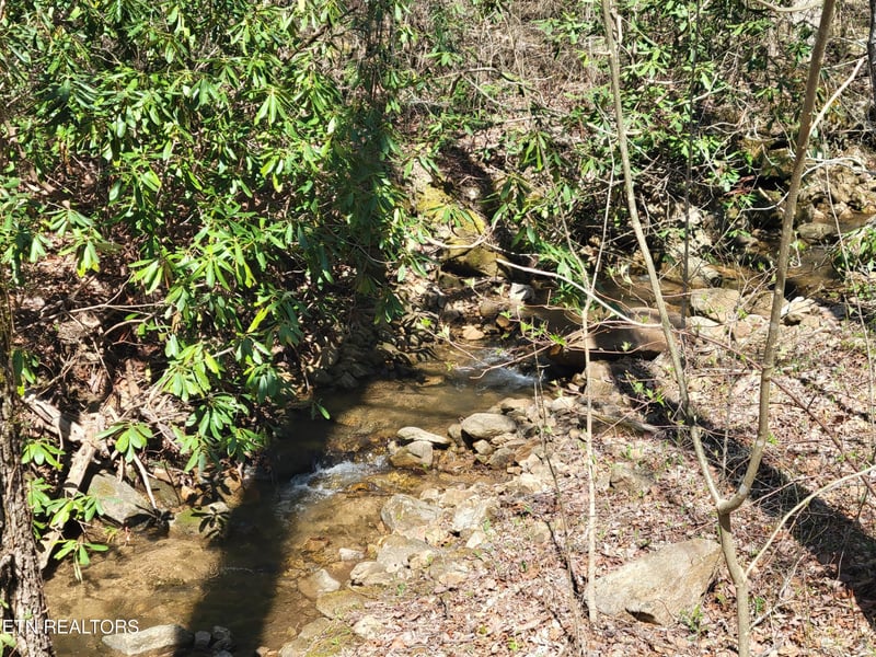 25 Alpine Dr Lot 25, Sevierville, TN 37876