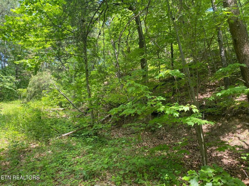 31 High St Lot 31, Sevierville, TN 37876