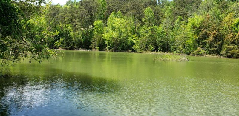 1 Island View Way Lot 1, Sevierville, TN 37876