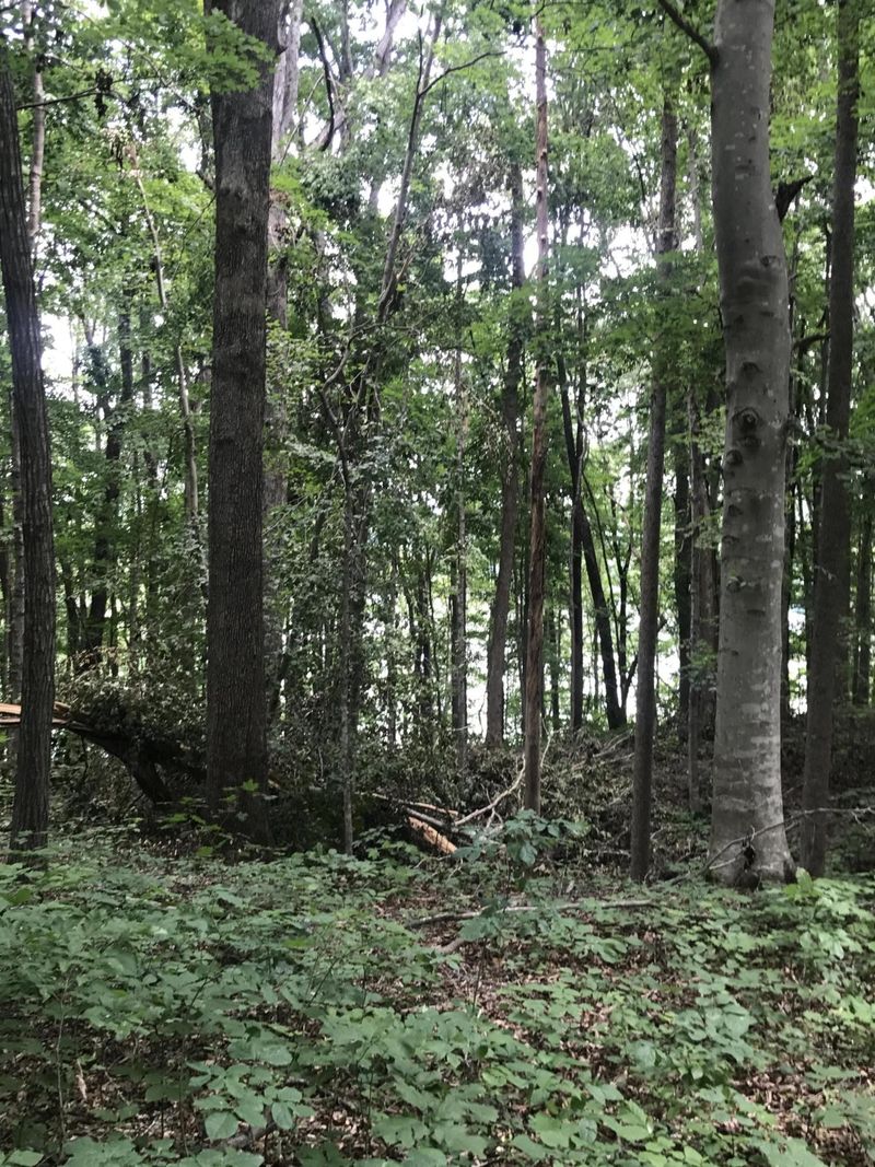6 Rocky Top Rd, Lenoir City, TN 37772