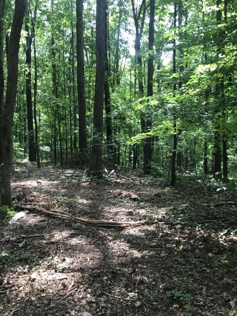 2 Rocky Top Rd, Lenoir City, TN 37772