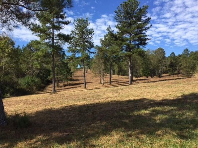 8 Ward Rd, Loudon, TN 37774
