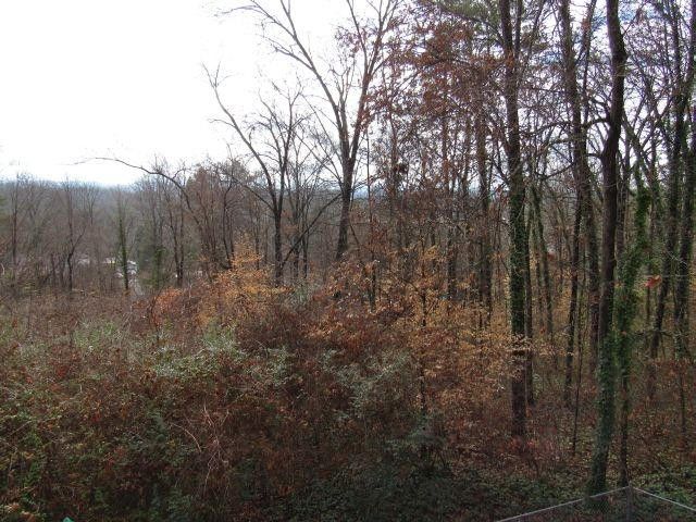 3308 Bunker Hill Dr, Knoxville, TN 37920