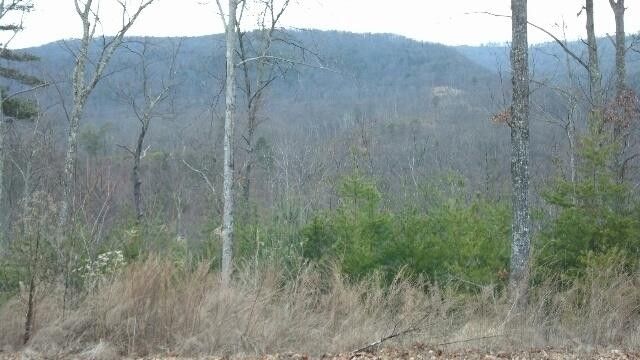 73 Smoky Bluff Tr Lot 73, Sevierville, TN 37862