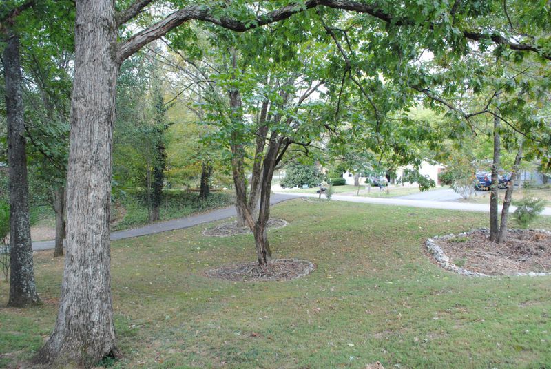1417 Sw Buckeye Rd, Knoxville, TN 37919