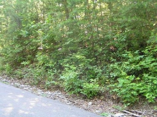 14 Treehouse Ln Lot 14, Sevierville, TN 37876