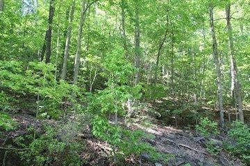 0 Mountain Blvd Lot 108, Sevierville, TN 37876