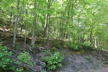 0 Mountain Blvd Lot 108, Sevierville, TN 37876