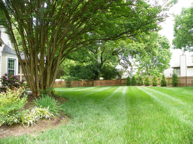 1220 Wenlock Rd, Knoxville, TN 37922