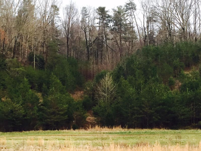 2 Galyon Rd, Maryville, TN 37803
