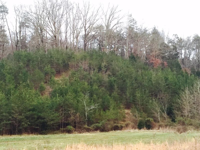 2 Galyon Rd, Maryville, TN 37803