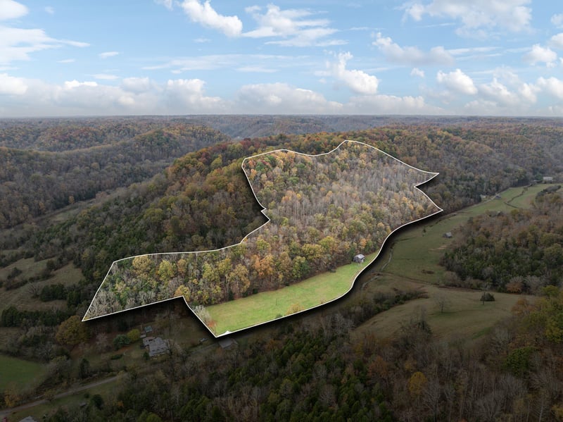 0 Carver Hollow Ln, Pleasant Shade, TN 37145