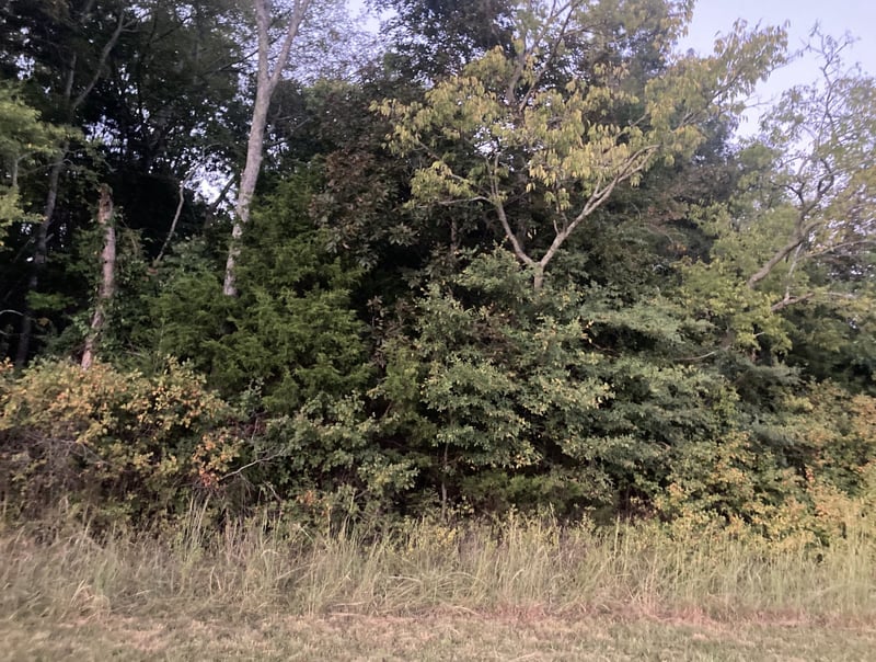 0 Old Jackson Ridge Rd, Rockvale, TN 37153