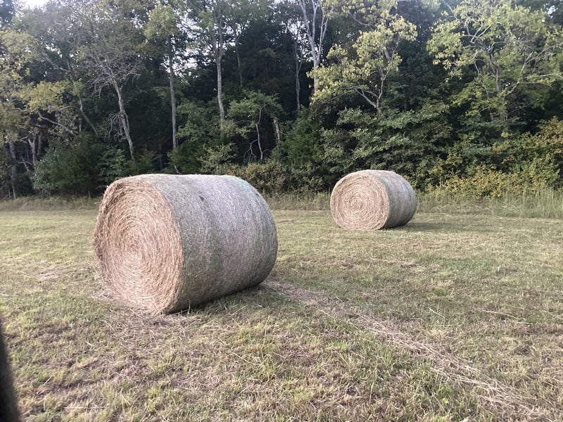 0 Old Jackson Ridge Rd, Rockvale, TN 37153