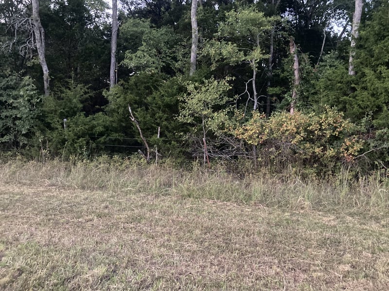 0 Old Jackson Ridge Rd, Rockvale, TN 37153