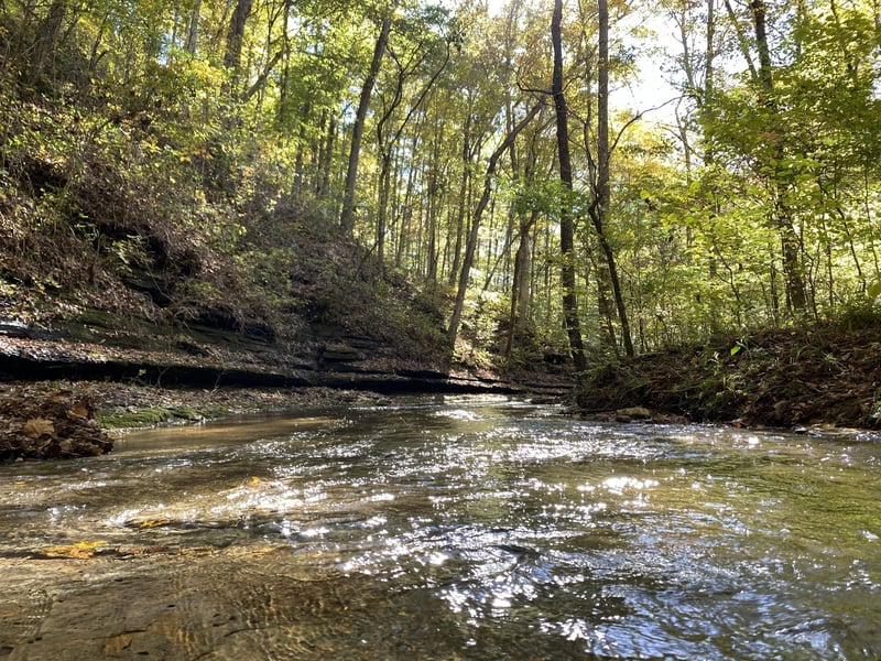 1508 White Bluff Rd, White Bluff, TN 37187