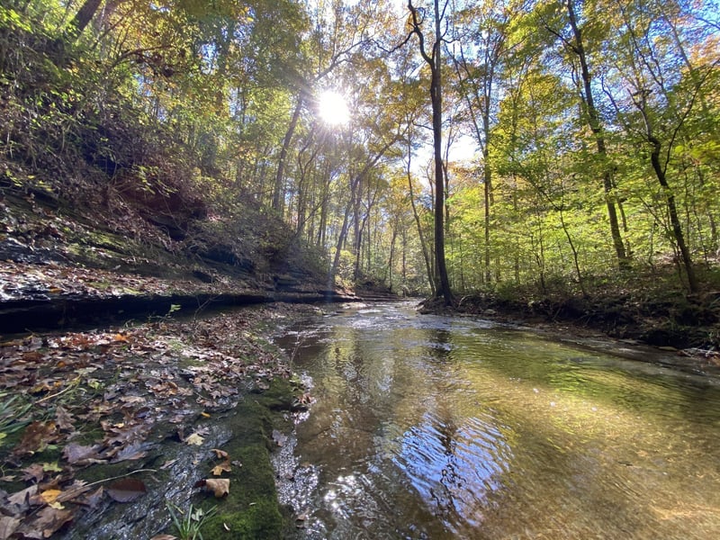 1508 White Bluff Rd, White Bluff, TN 37187