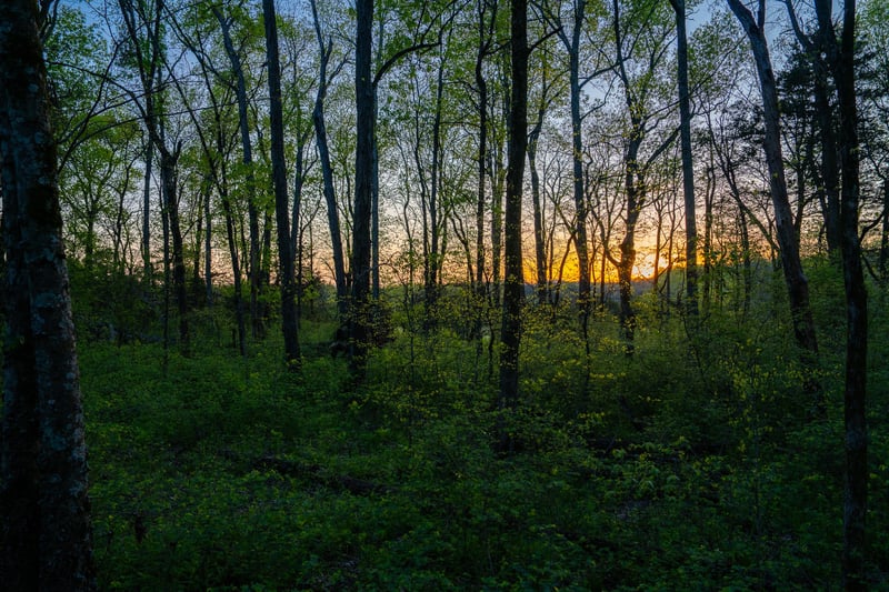 0 Floyd Rd, Eagleville, TN 37060