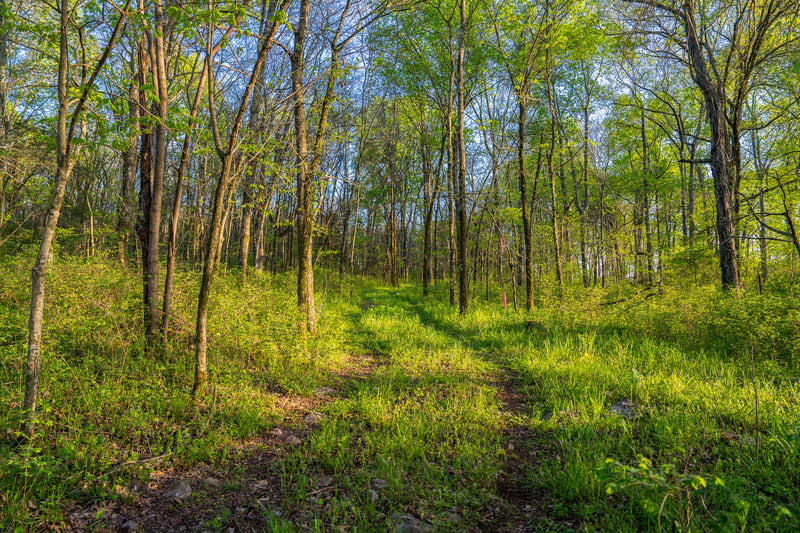 0 Floyd Rd, Eagleville, TN 37060