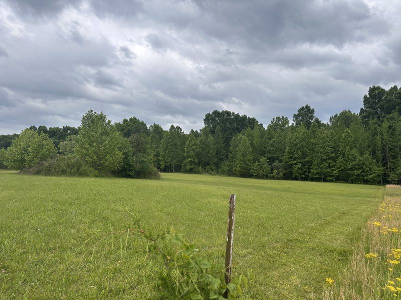 1249C Reese Rd, Bethpage, TN 37022