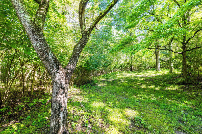 0 Stallings Rd, Trenton, GA 30752