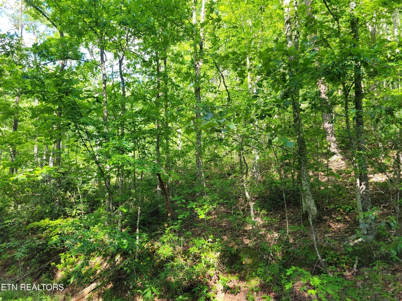 27 Black Oak Dr Lot 27, Sevierville, TN 37876
