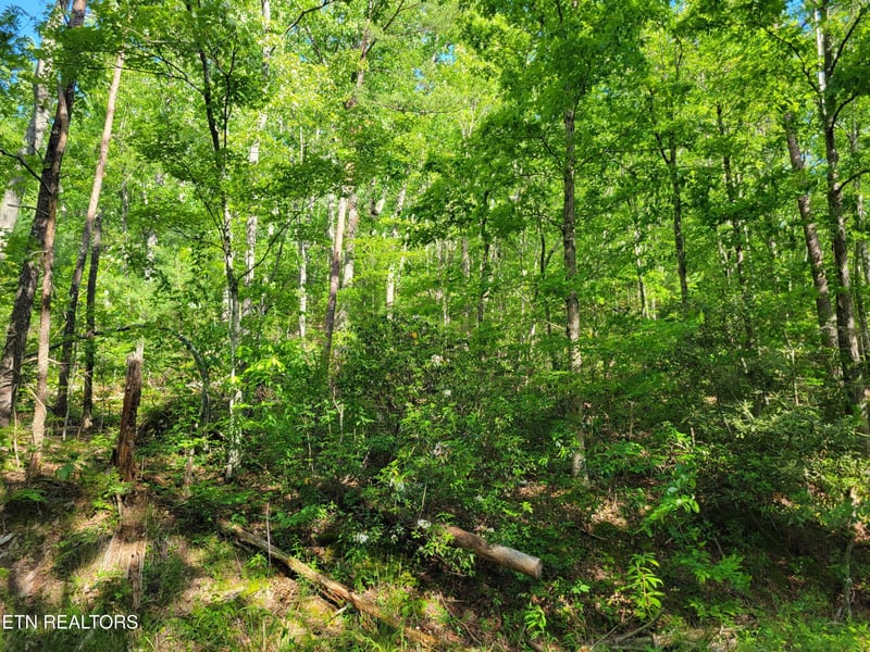 27 Black Oak Dr Lot 27, Sevierville, TN 37876