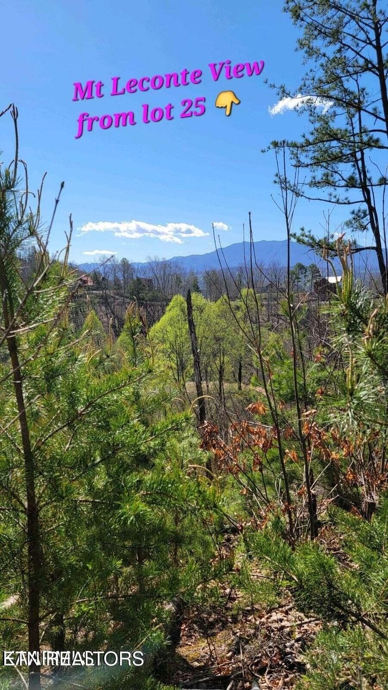 0 Walker Trail Tr Lot 5BD25BE, Sevierville, TN 37876