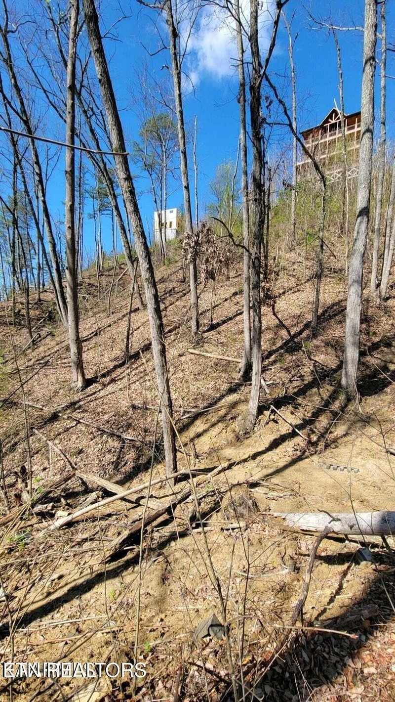 0 Walker Trail Tr Lot 5BD25BE, Sevierville, TN 37876