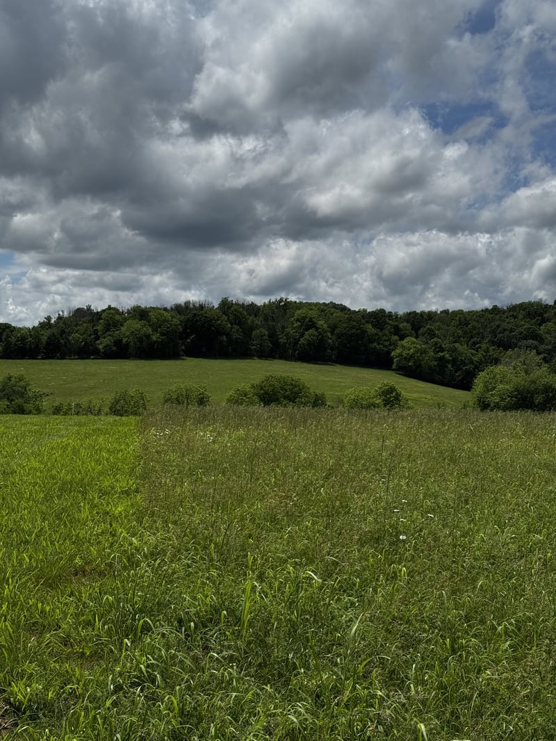 0 Hearn Hill Rd, Watertown, TN 37184