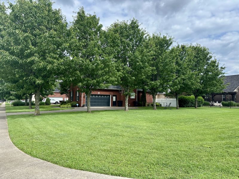 3602 Geneva Dr, Murfreesboro, TN 37128