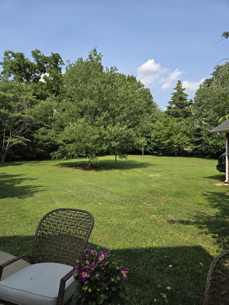 211 Mercedes Dr, Smyrna, TN 37167