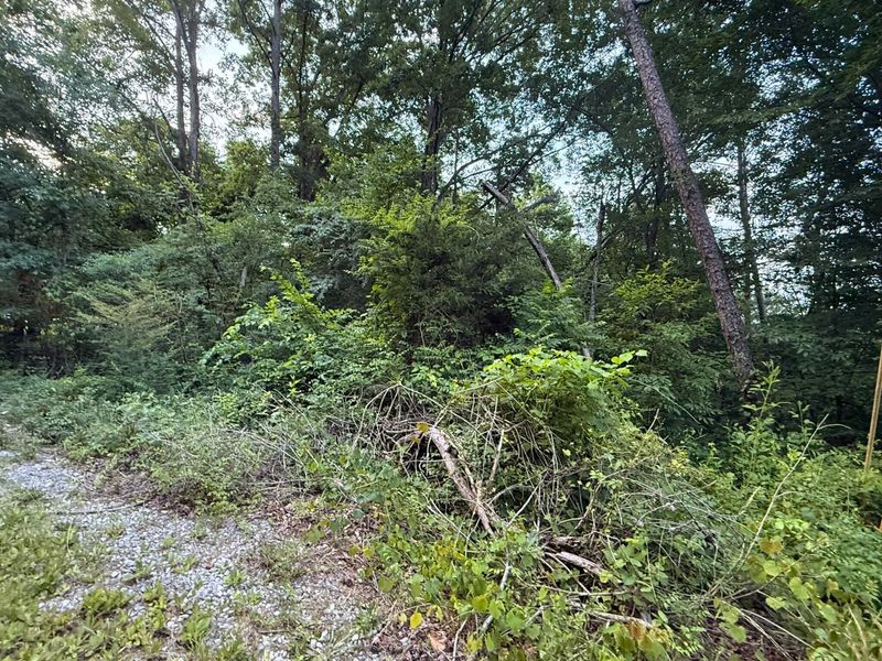 0 Morrison Ln, Ringgold, GA 30736