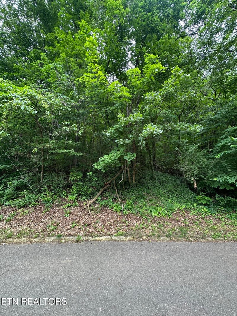 6834 Reddege Rd Lot 6R, Knoxville, TN 37918