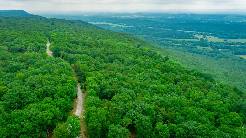 237 County Road 844, Mentone, AL 35984