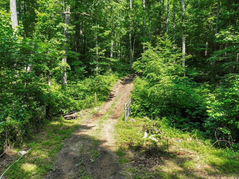 1288 Rogues Fork Rd, Bethpage, TN 37022