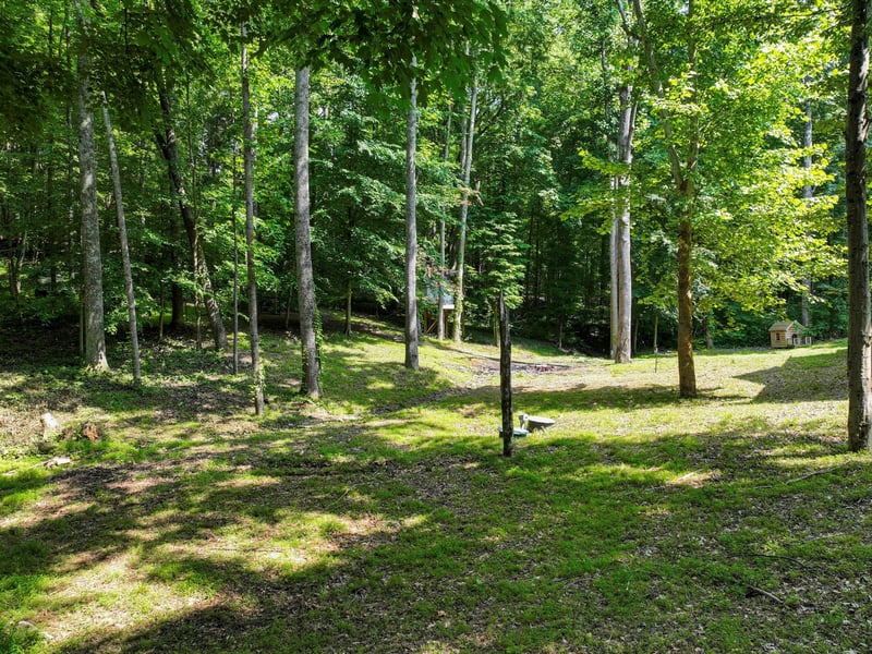1288 Rogues Fork Rd, Bethpage, TN 37022