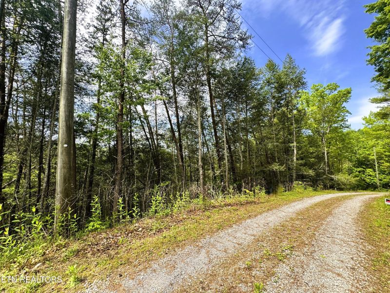 0 Montevallo Rd Lot 16, Sevierville, TN 37876