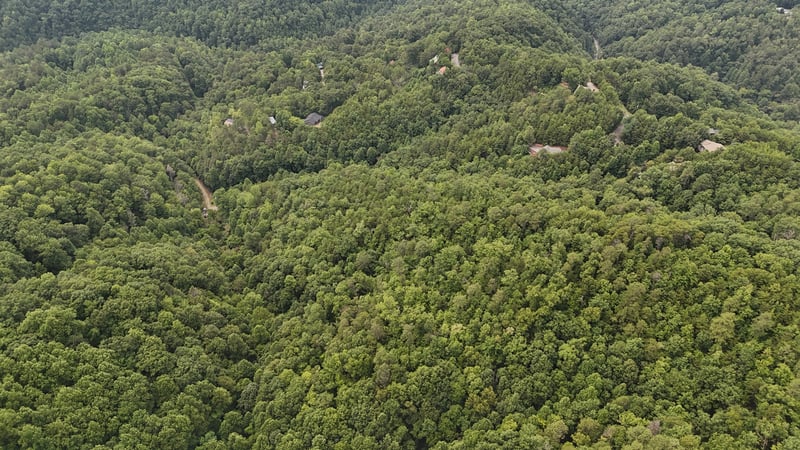 0 S King Branch Rd S, Sevierville, TN 37876