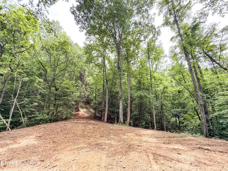 0 Forest Creek Pkwy Lot 1A, Oak Ridge, TN 37830