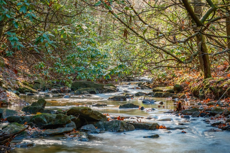 0 Long Branch Rd Lot 19, Rising Fawn, GA 30738