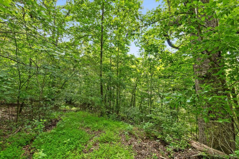 0 Cloud 9 Ln, Flintstone, GA 30725