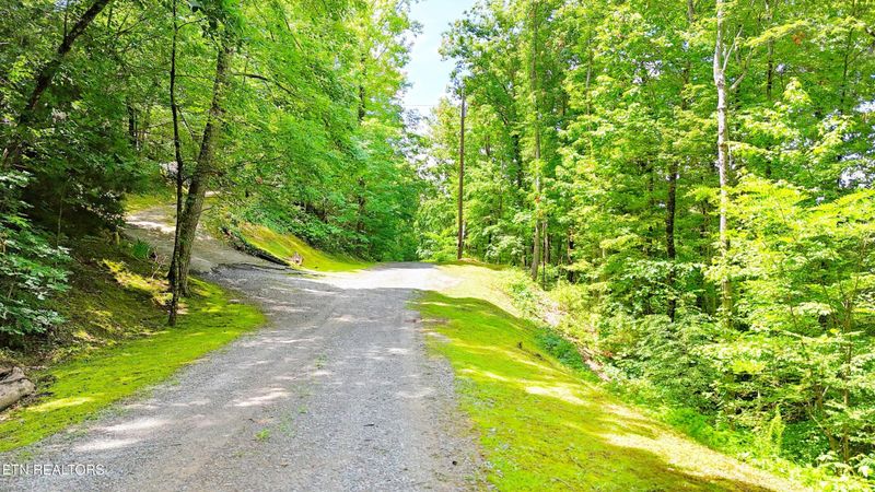 111213 Black Oak Dr, Sevierville, TN 37876
