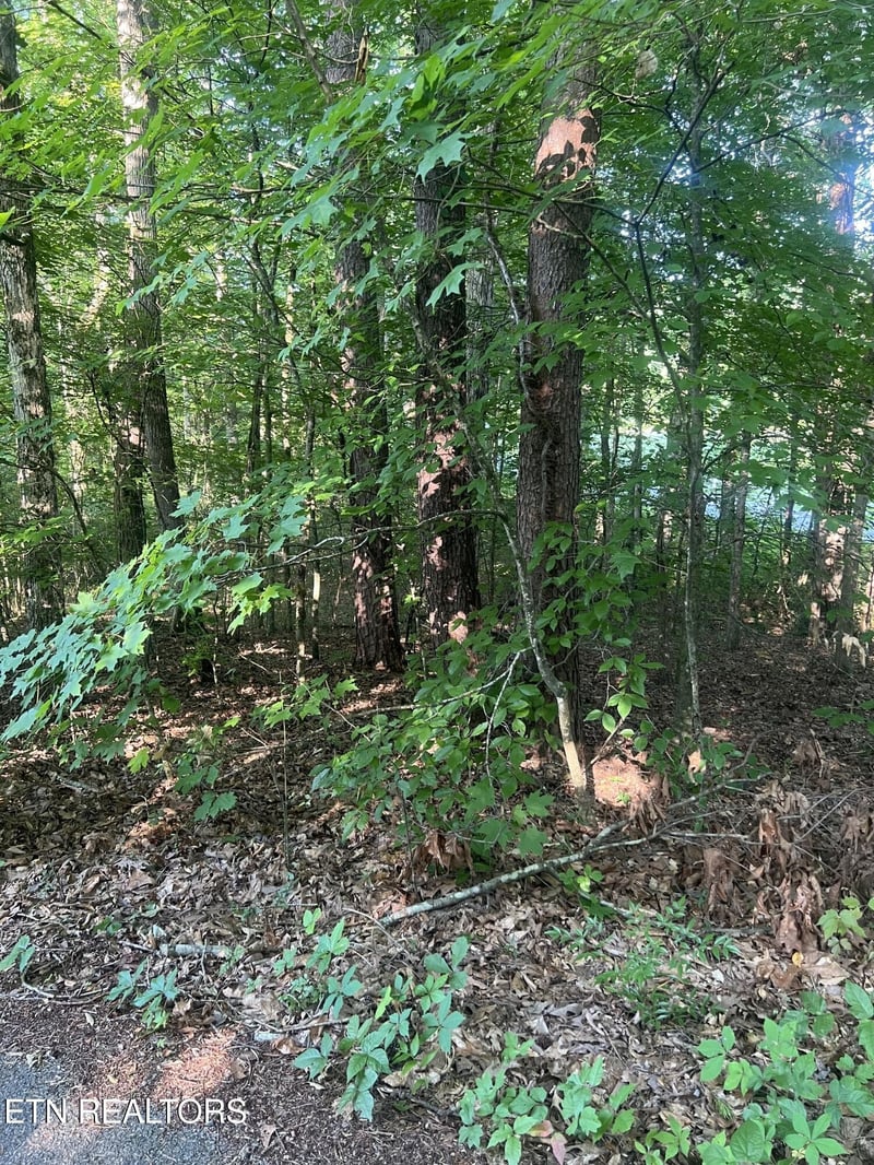 12308 Yarnell Rd Lot 1, Knoxville, TN 37932