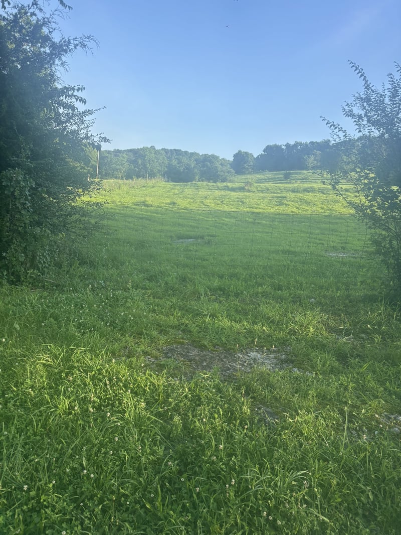 0 Preston Ln, Elmwood, TN 38560