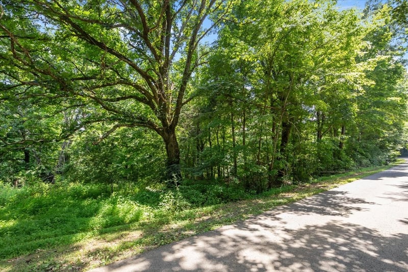 0 Hunley Branch Rd, Charlotte, TN 37036