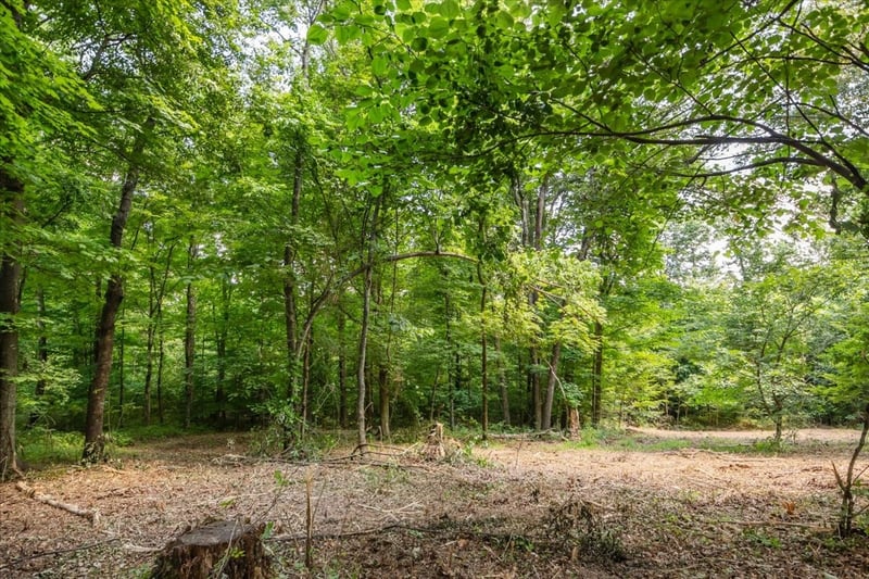 0 Hunley Branch Rd, Charlotte, TN 37036