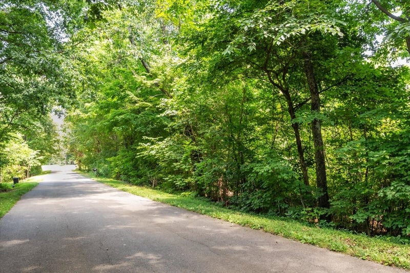0 Hunley Branch Rd, Charlotte, TN 37036