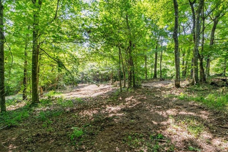 0 Hunley Branch Rd, Charlotte, TN 37036